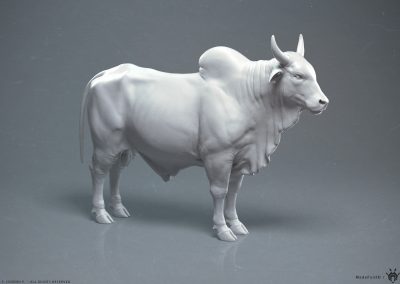 manuelf-3d-Zebu-bull-model-HighPoly-00