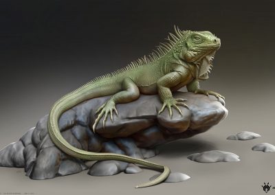 Manuelf-3d-Iguana-MainBeauty-ZC-4000w